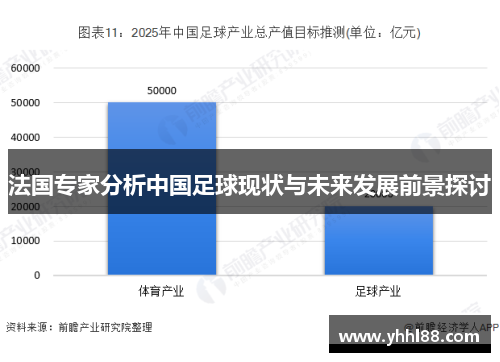 法国专家分析中国足球现状与未来发展前景探讨